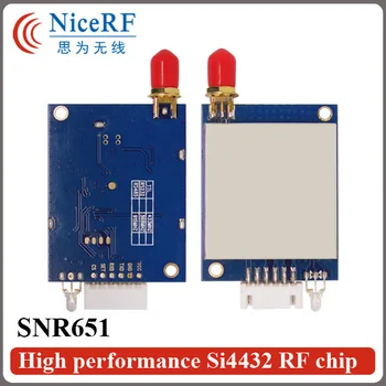 2 buc/pachet SNR651 500mW Interfață TTL 868MHz RF Emițător Și Receptor+2 buc Antene+2 buc USB Brigde bord