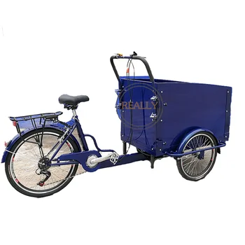 Clasic cu 3 Roti Electric Personalizate OEM Pedala care Transportă Copii în Familie Tricicleta pentru Adulti Biciclete de Marfă Scaun Copil Bicicleta