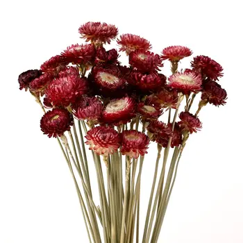 Flori uscate 40PCS Daisy Buchet 100%Naturale Crizantema Uscat de Flori pentru Vaza Decor Acasă Partid DIY Aranjament de Grâu Paie Vrac