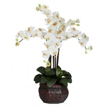 Phalaenopsis cu Vaza Decorativa Artificiala Aranjament de Flori, Crema Home Garden Decor Hotel de Partid Decor